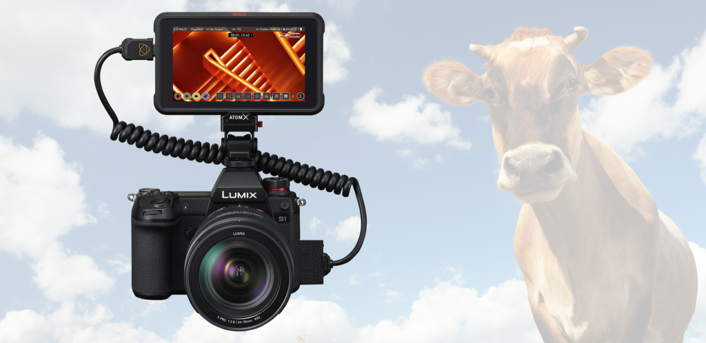 Lumix Ninja