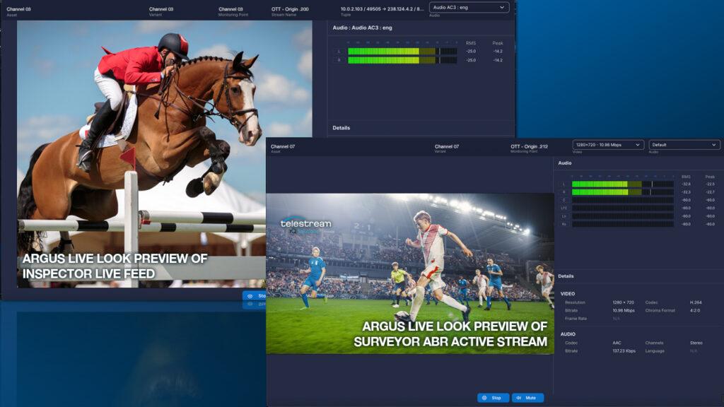 screenshots of Telestream's Argus Screen-live Look software