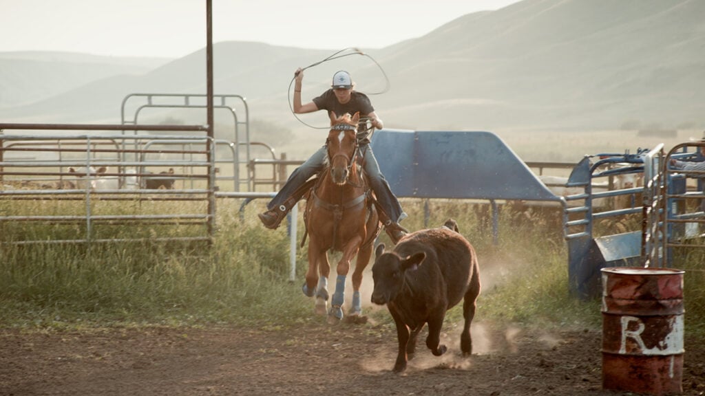 a young person rides a horse while throwing a lasso to catch a calf