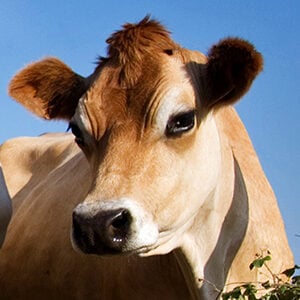 Profile photo of Nick Kennedy