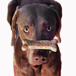 Profile photo of Adam Grossman