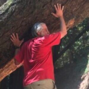 Profile photo of Al Bergstein