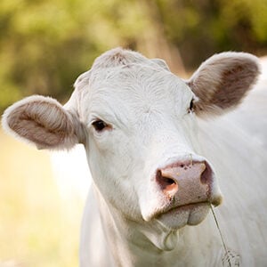 Profile photo of Michael Phillips